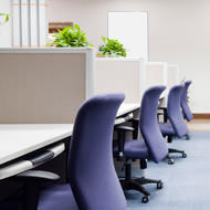 Company Profile